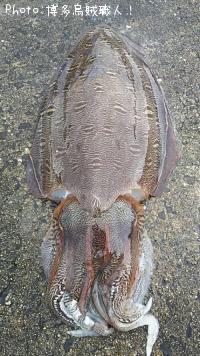 �����ꥤ��