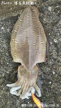 ¥«¥ß¥Ê¥ê¥¤¥«