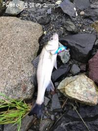 �����Х�