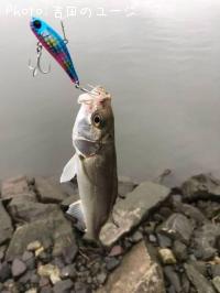 �����Х�