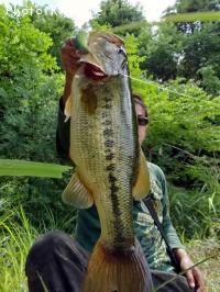 �֥�å��Х�