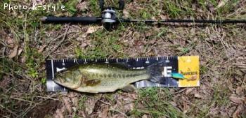 �֥�å��Х�