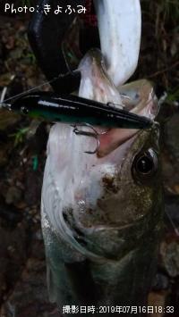 �����Х�