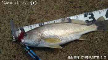 �ҥ��ʥ�����