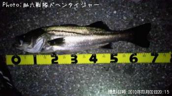 �����Х�