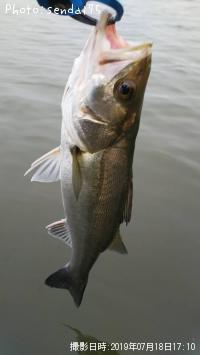 �����Х�