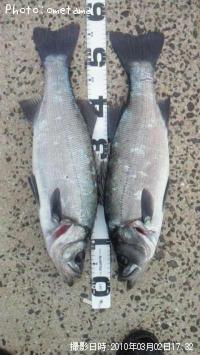 �ҥ饹����