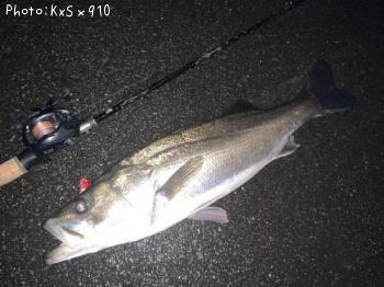 �����Х�