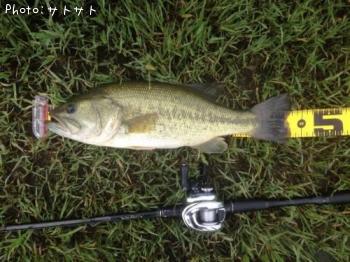 �֥�å��Х�