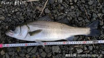 �����Х�