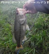 ¥Ö¥é¥Ã¥¯¥Ð¥¹