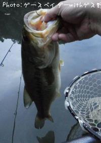 ¥Ö¥é¥Ã¥¯¥Ð¥¹