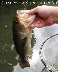 ¥Ö¥é¥Ã¥¯¥Ð¥¹