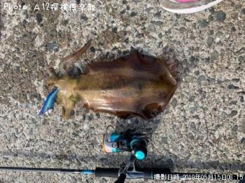 ¥¢¥ª¥ê¥¤¥«