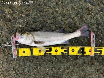 �����Х�