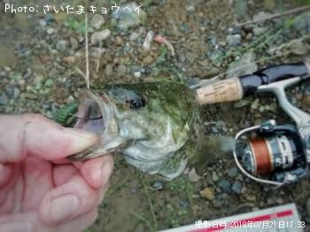 �֥�å��Х�