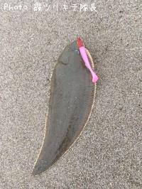 �����ӥ��