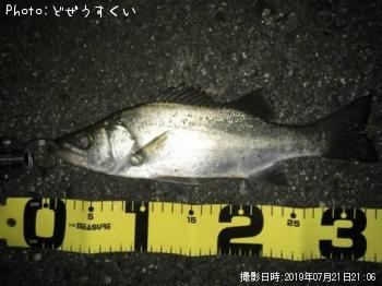 �����Х��ʥҥ饻������