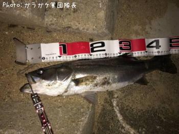 �����Х�