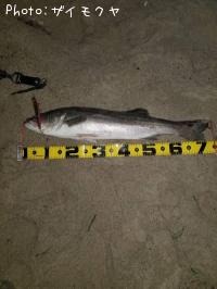 �����Х�