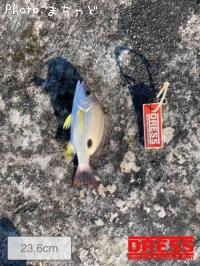 ���ʥ����ڥ����ۥ��ե�������