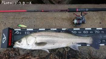 �����Х�