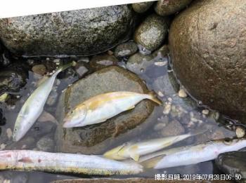 ������󥫥ޥ�