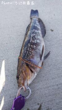 �����ʥ�