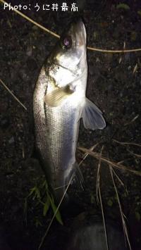 �����Х�