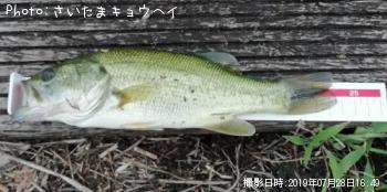 ¥Ö¥é¥Ã¥¯¥Ð¥¹