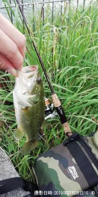 ¥Ö¥é¥Ã¥¯¥Ð¥¹