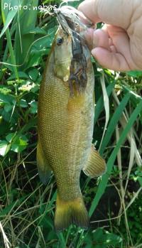 �֥�å��Х�