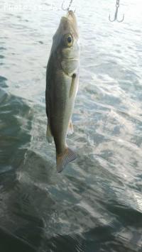 �����Х�