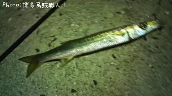 ¥¢¥ª¥ê¥¤¥«¡¢¥±¥ó¥µ¥¥¤¥«¡¢¥¢¥¸