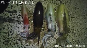 �����ꥤ�������󥵥�����