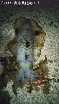 �����ꥤ�������󥵥�����