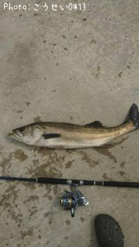 �����Х�