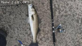 �����Х�