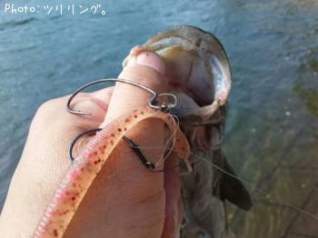 ���⡼��ޥ����Х�