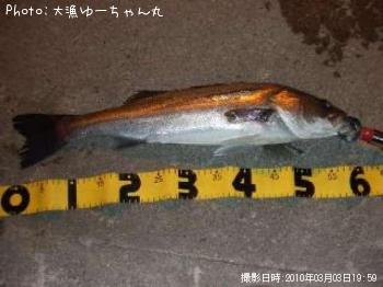 �����Х�