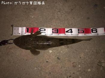 ¥³¥Á