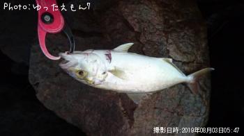 ¥«¥ó¥Ñ¥Á¤Î»Ò