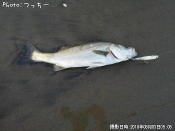 �����Х�