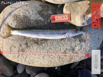 ������󥫥ޥ�