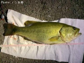 �֥�å��Х�