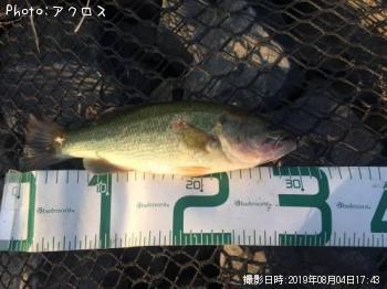 �顼���ޥ����Х�