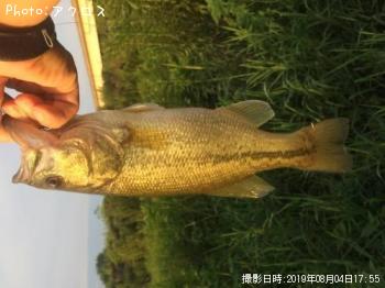 �顼���ޥ����Х�