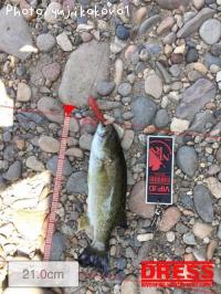 ¥Ö¥é¥Ã¥¯¥Ð¥¹