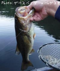 ¥Ö¥é¥Ã¥¯¥Ð¥¹