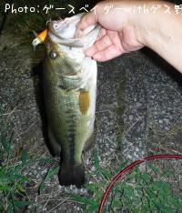 ¥Ö¥é¥Ã¥¯¥Ð¥¹